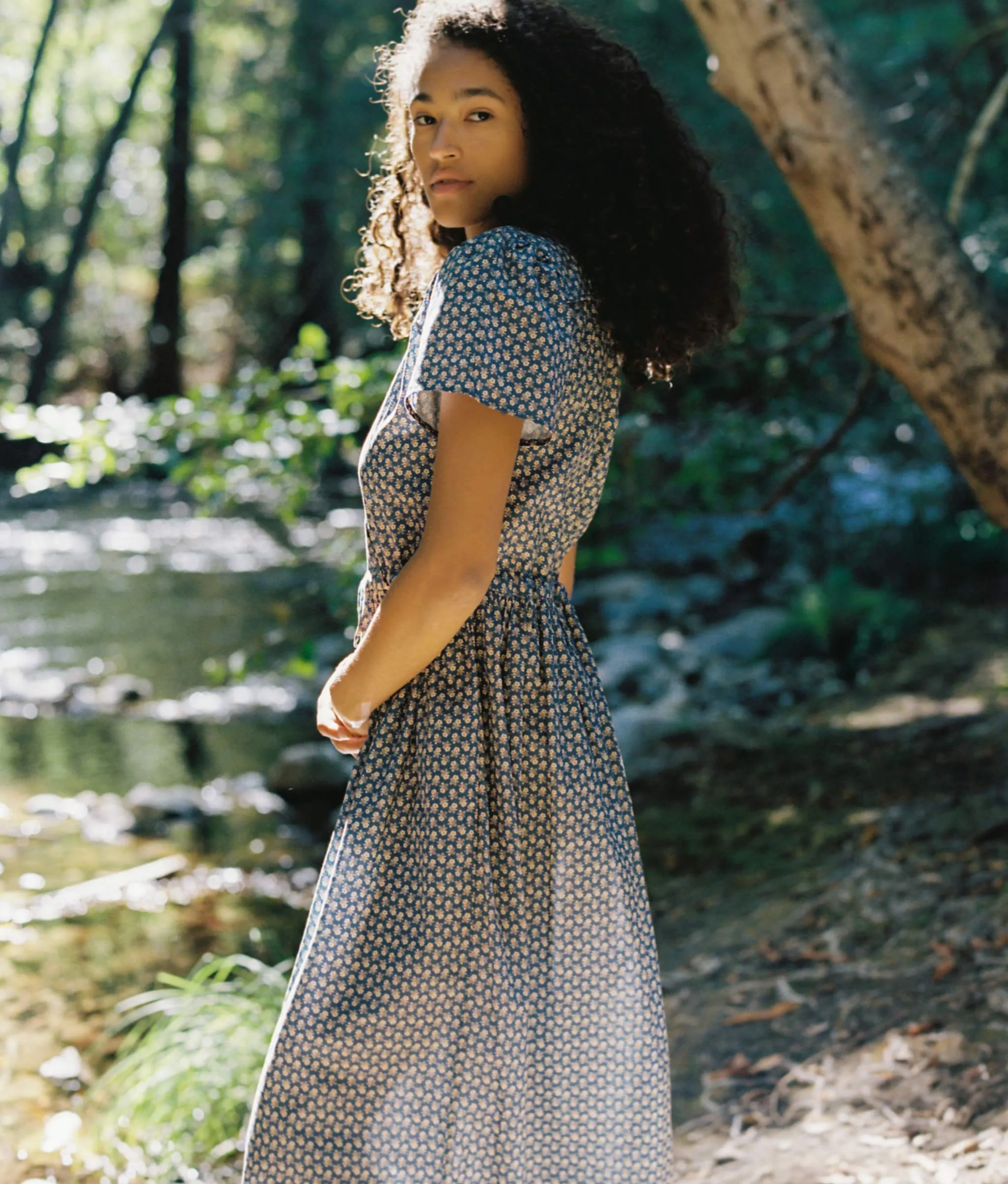 The Dawn Dress Petites | Aster Indigo