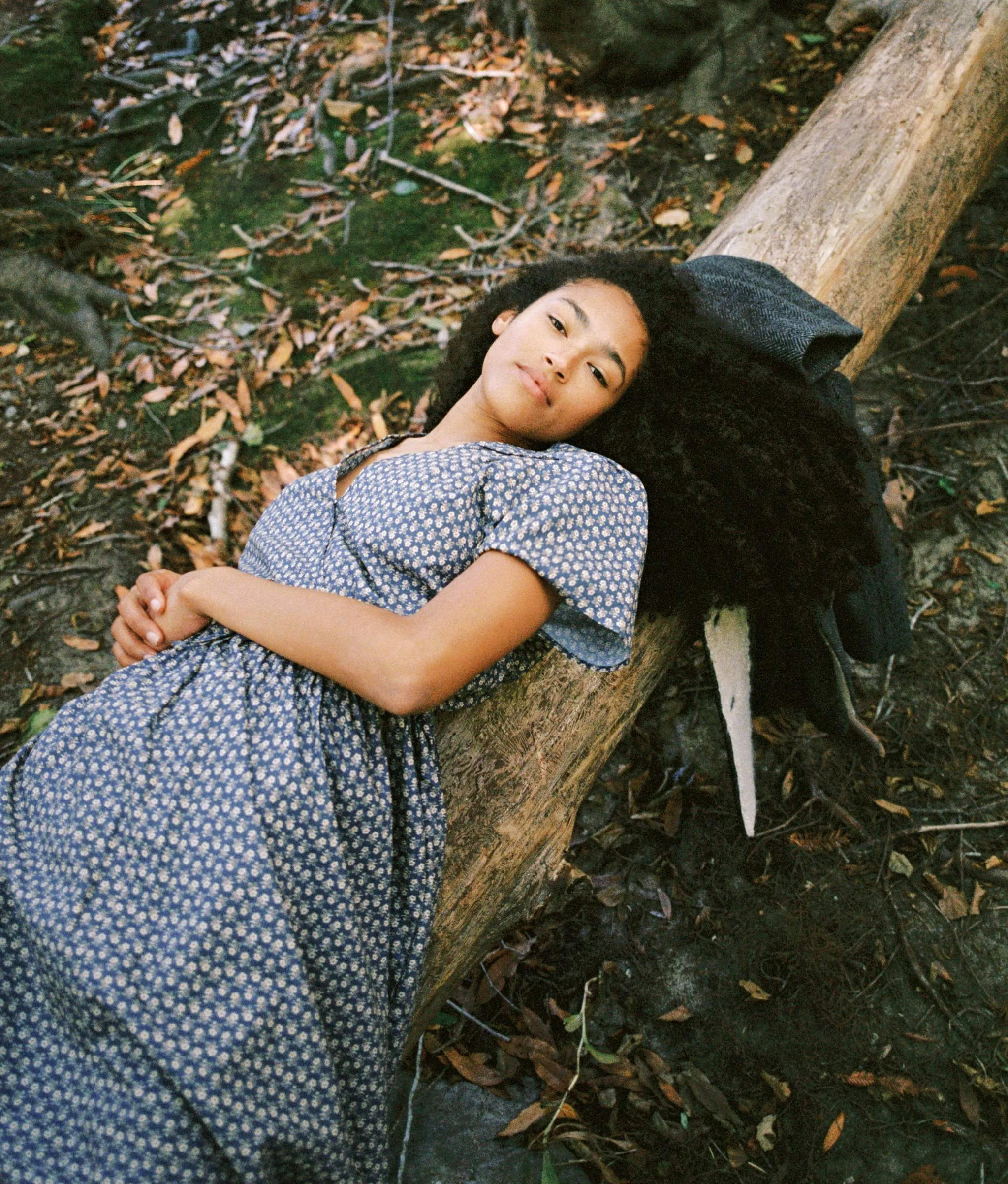 The Dawn Dress Petites | Aster Indigo