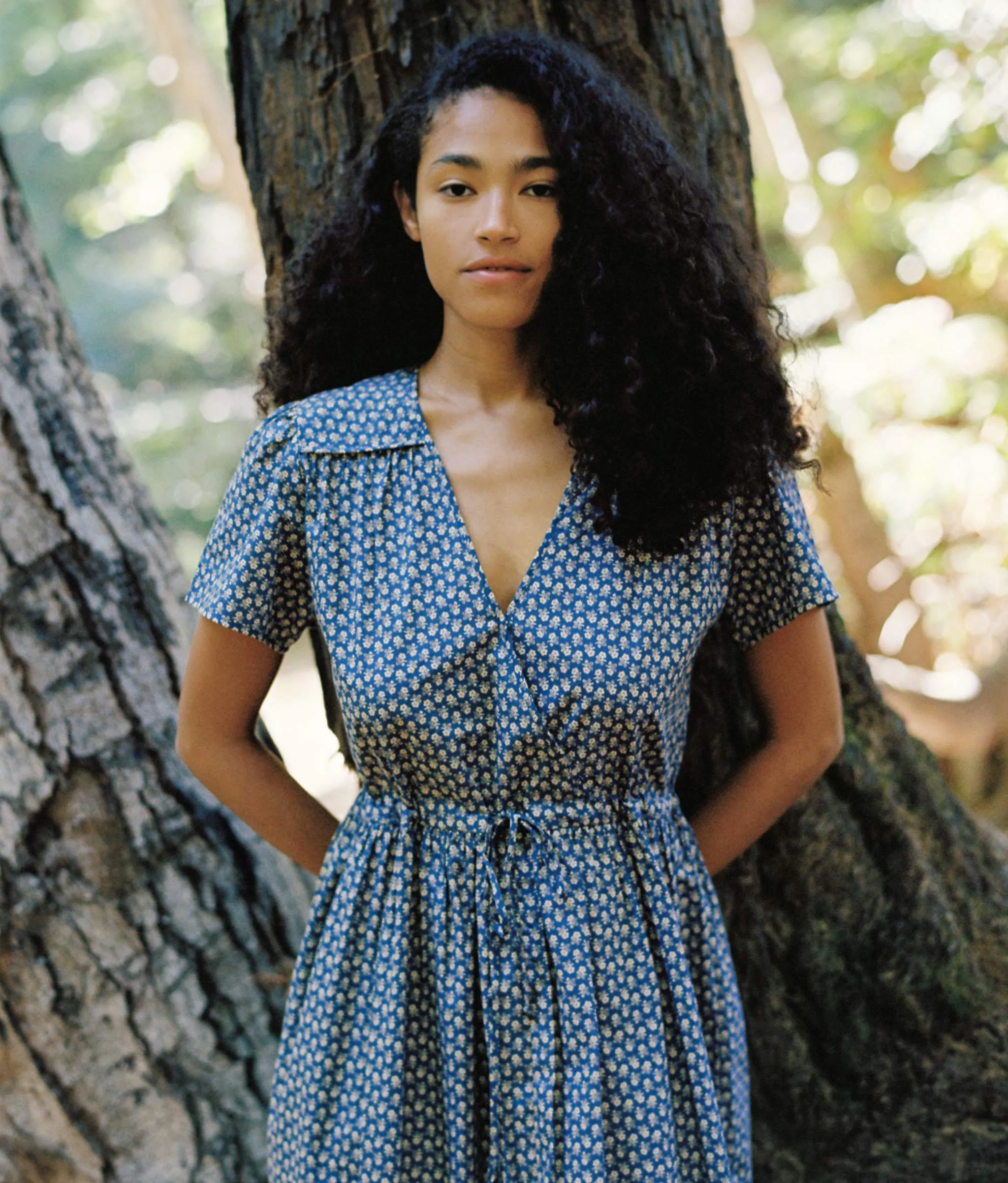 The Dawn Dress Petites | Aster Indigo