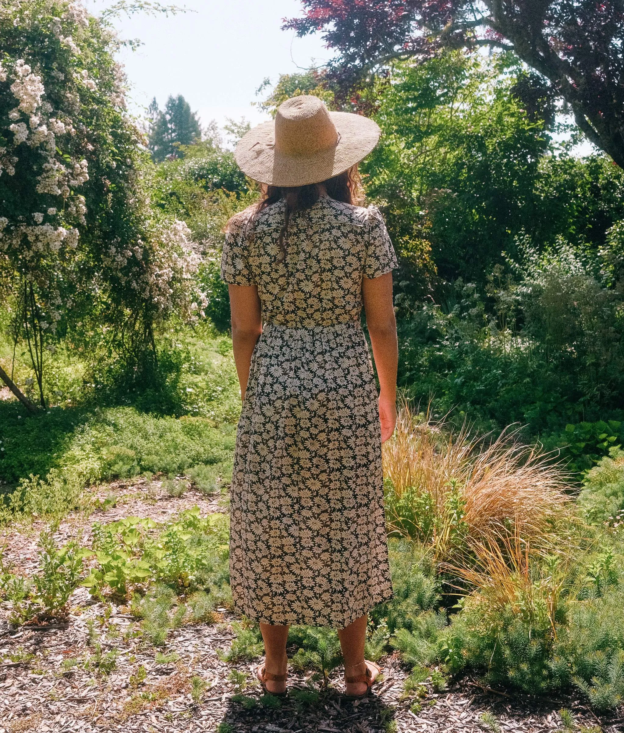 The Dawn Dress Petites | Night Chamomile