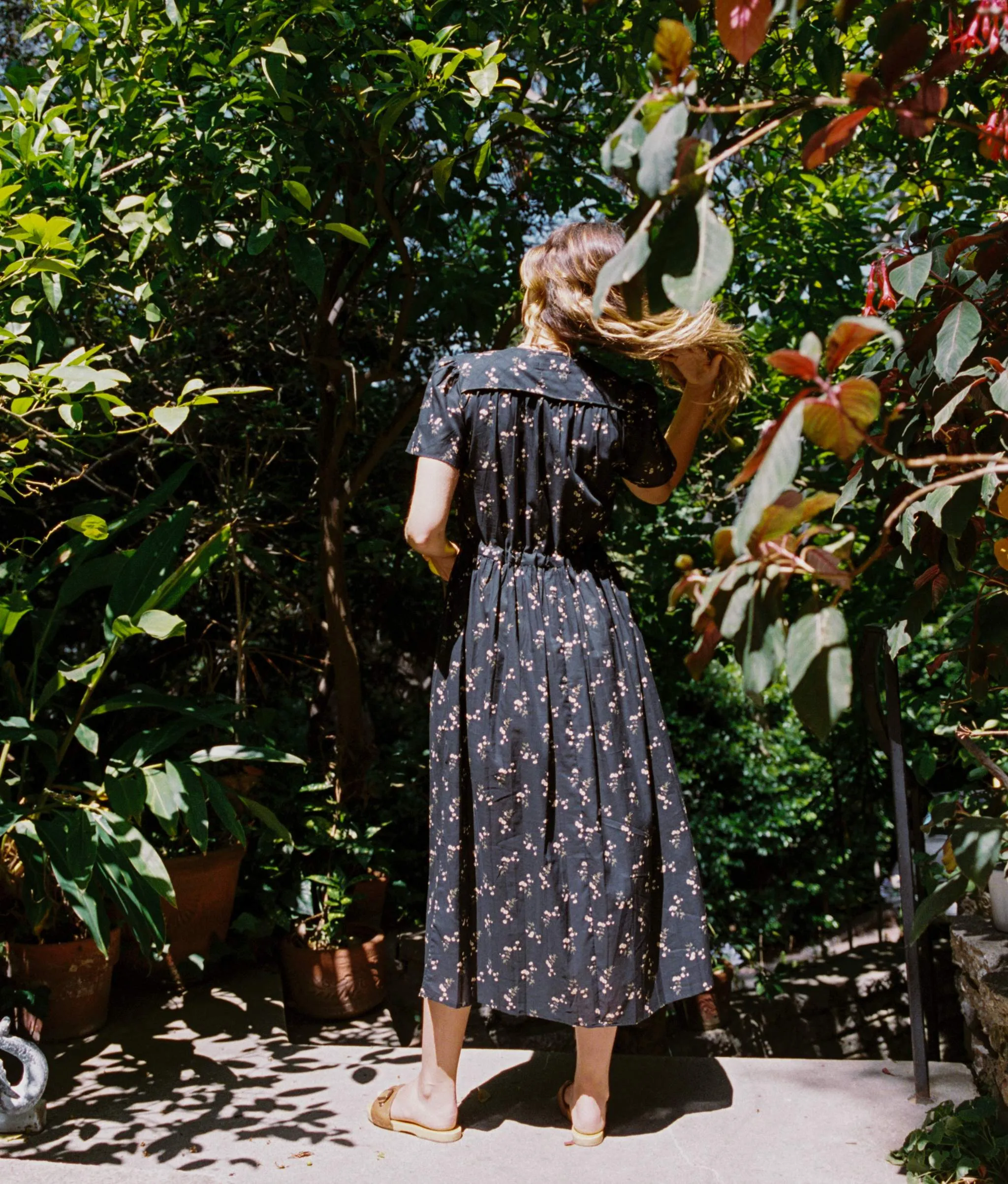 The Dawn Dress Petites | Noir Dancing Chamomile
