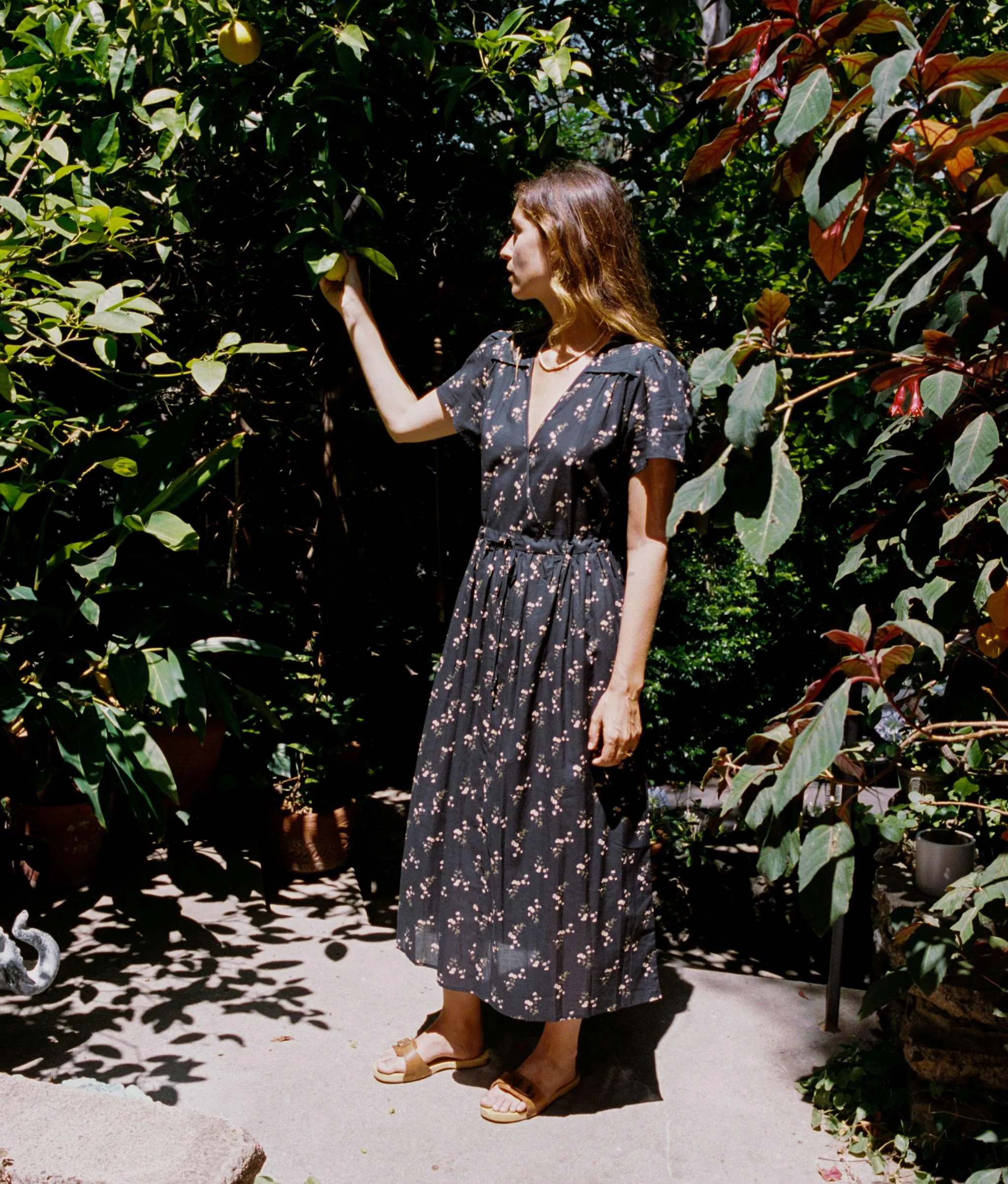 The Dawn Dress Petites | Noir Dancing Chamomile